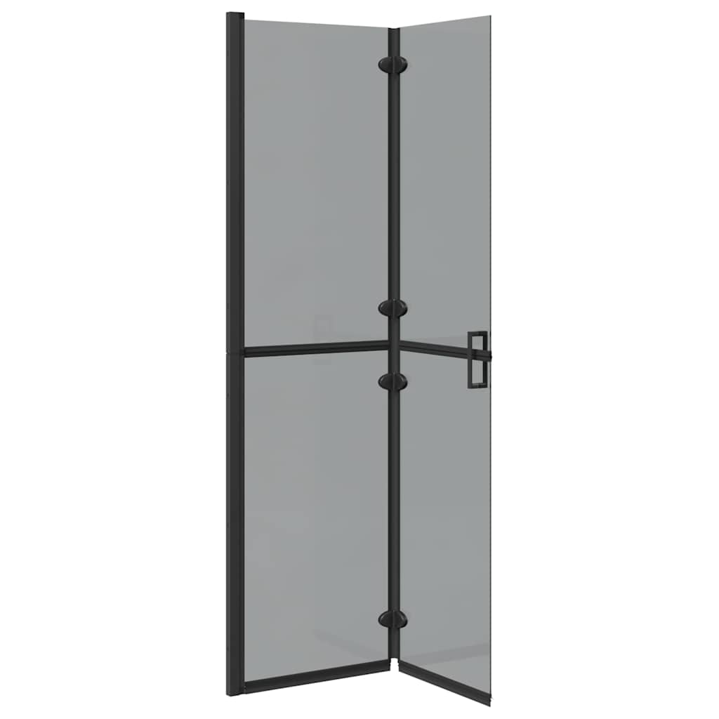 Walk-in Duschwand Schwarz und dunkel-transparent 100 x 190 cm