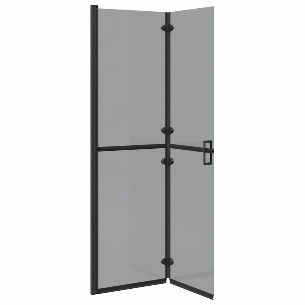 Walk-in Duschwand Schwarz und dunkel-transparent 110 x 190 cm
