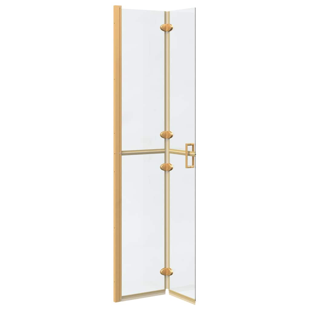 Walk-in Duschwand Sonstiges Golden und Transparent 70 x 190 cm