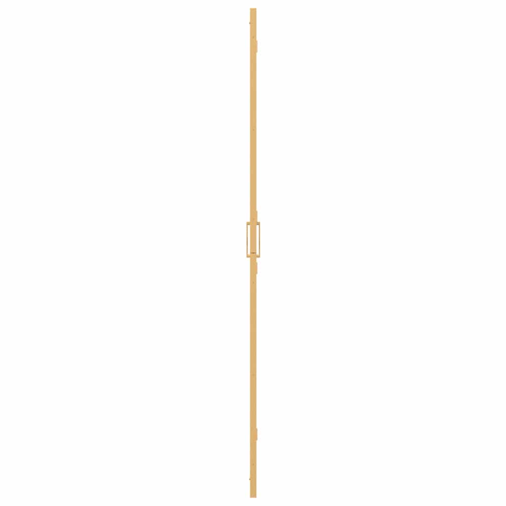 Walk-in Duschwand Sonstiges Golden und Transparent 70 x 190 cm