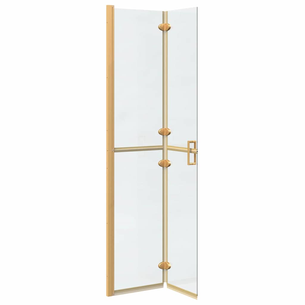 Walk-in Duschwand Sonstiges Golden und Transparent 80 x 190 cm