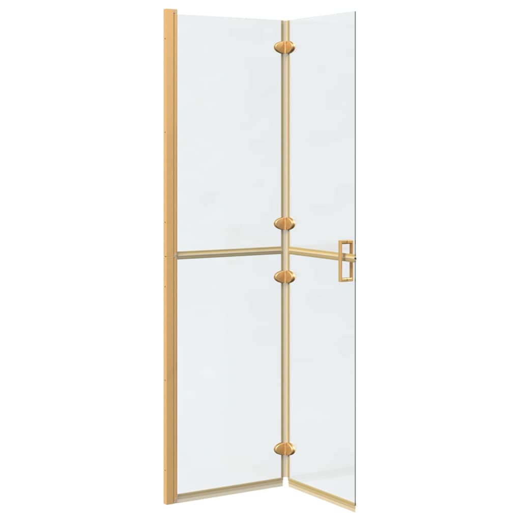 Walk-in Duschwand Sonstiges Golden und Transparent 100 x 190 cm