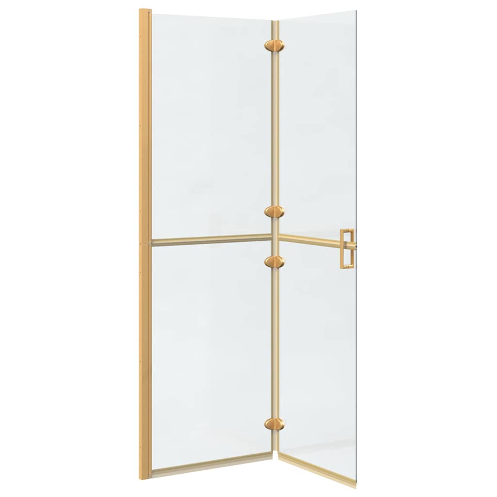 Walk-in Duschwand Sonstiges Golden und Transparent 120 x 190 cm