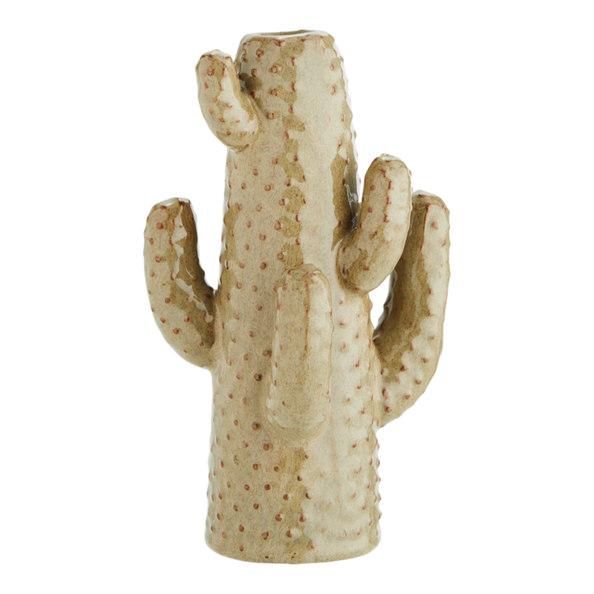 Jarrón de cactus Ø 13x21 cm