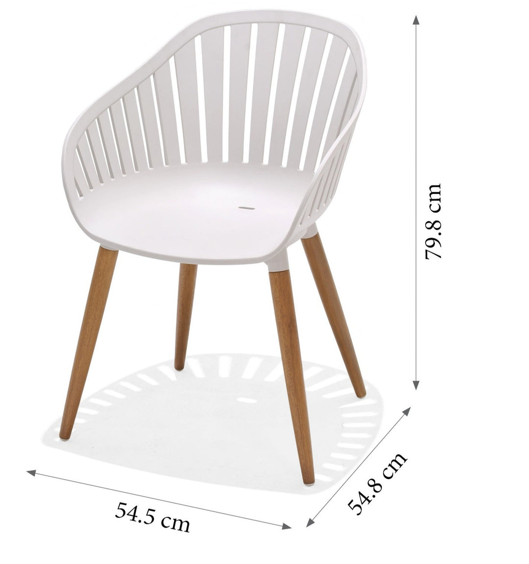 Silla concha Nassau arena coral