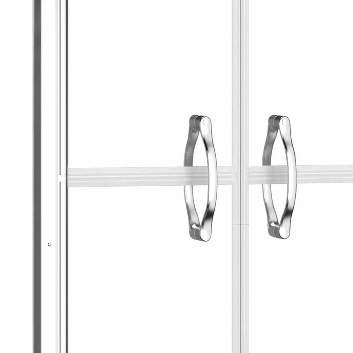 Duschtür Transparent ESG 76x190 cm
