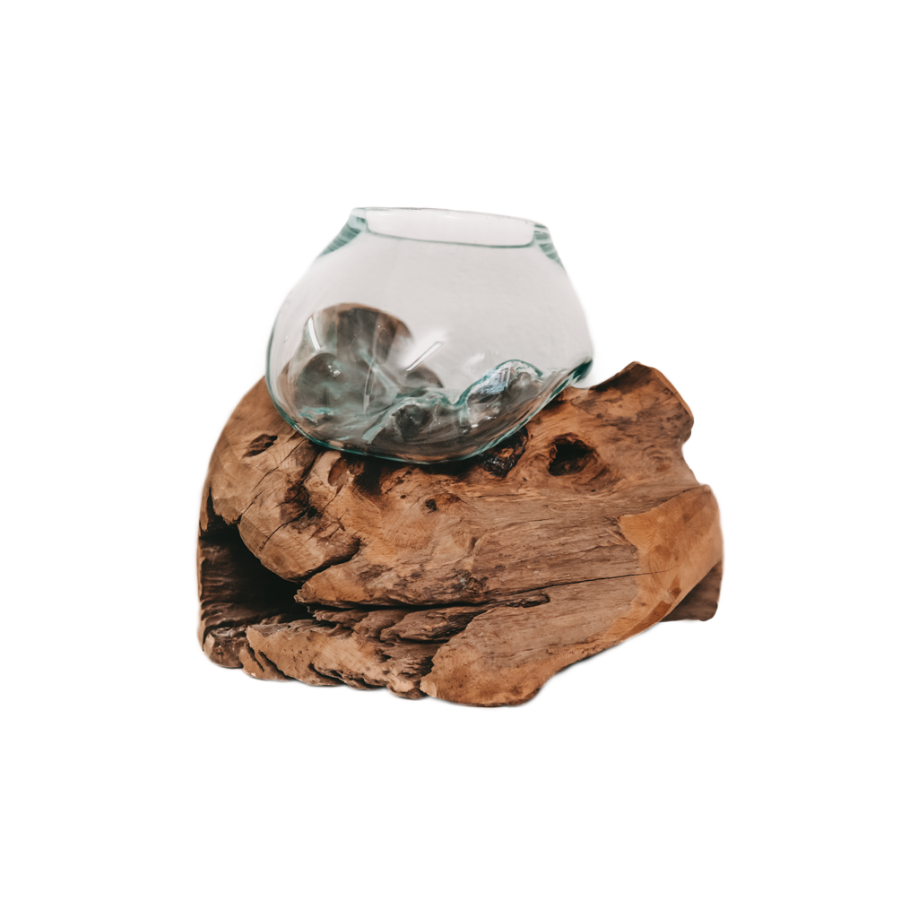 Raíz de teca con jarrón de cristal pequeño.