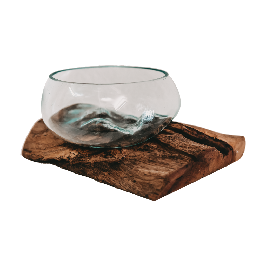 Teak root with glass vase Mini Big hook