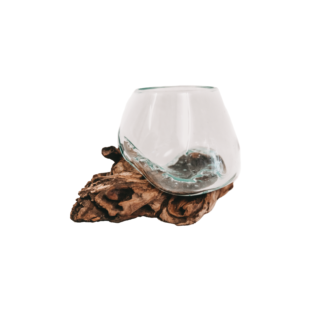 Teak root with glass vase super mini
