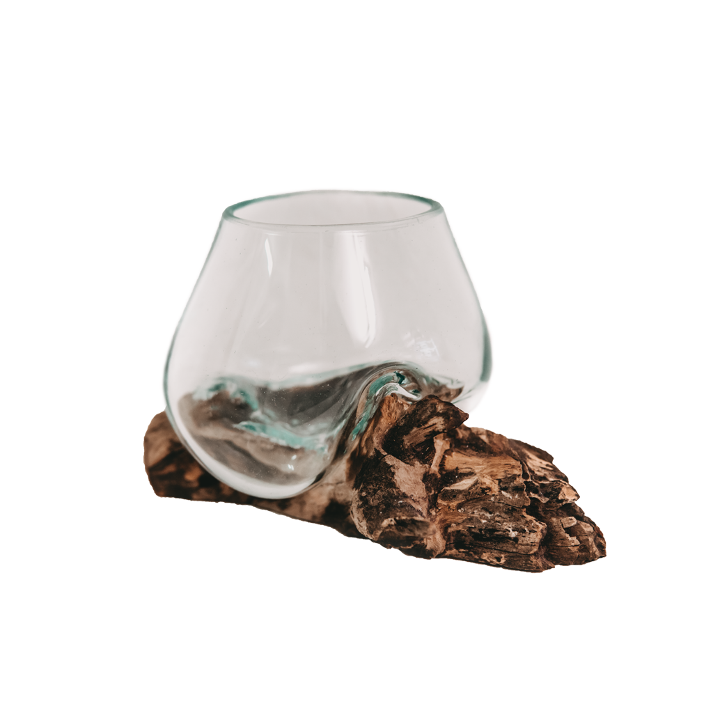 Teak root with glass vase super mini