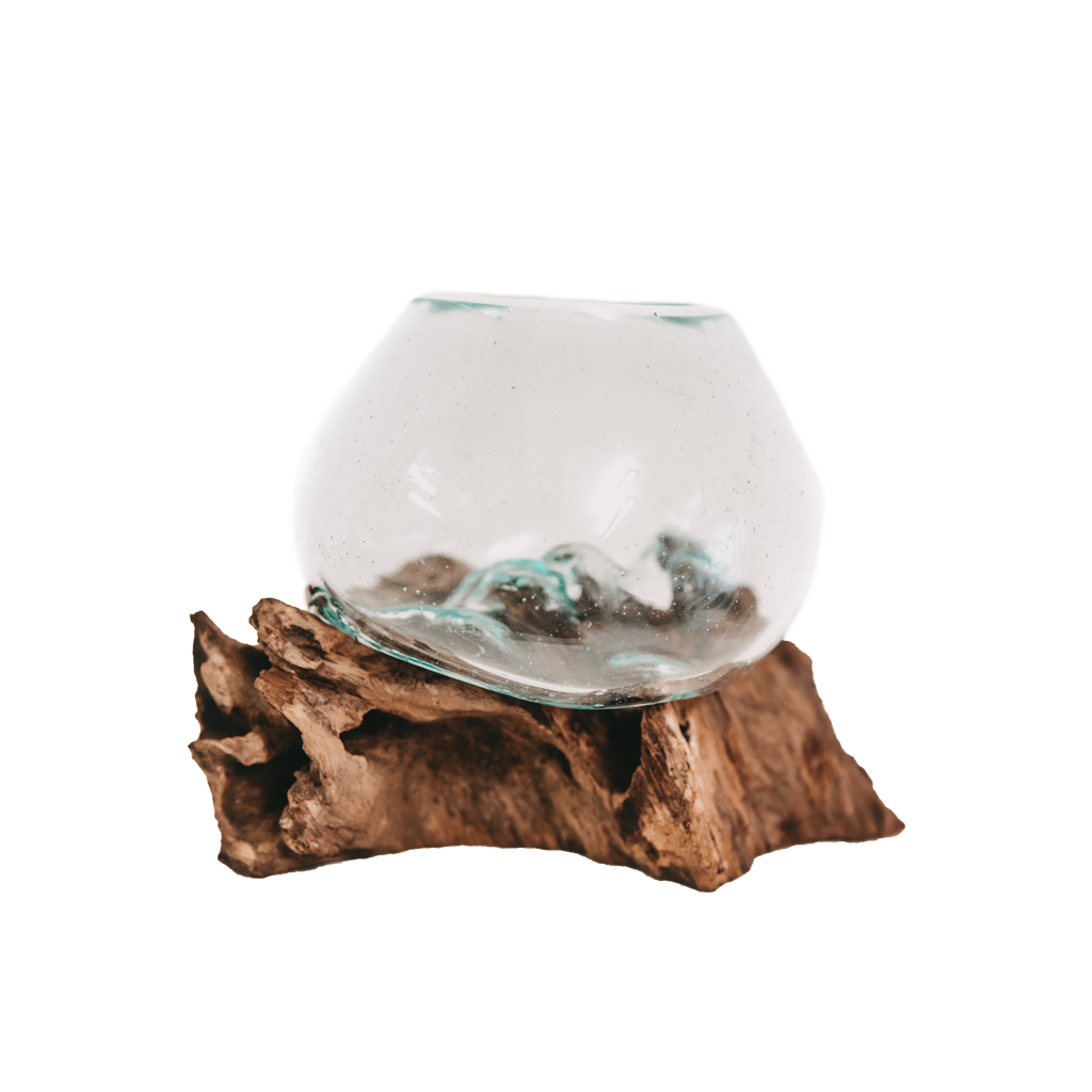 Teak root with glass vase super mini