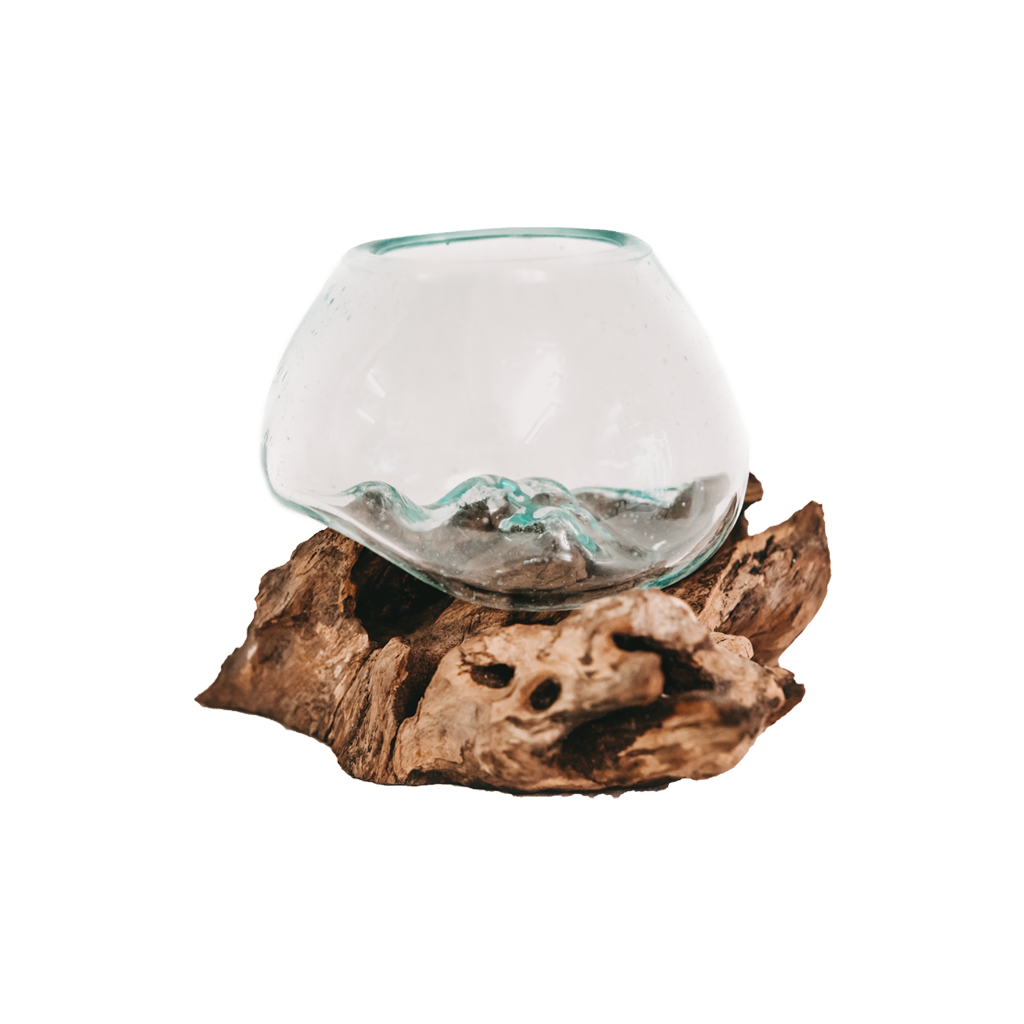 Teak root with glass vase super mini