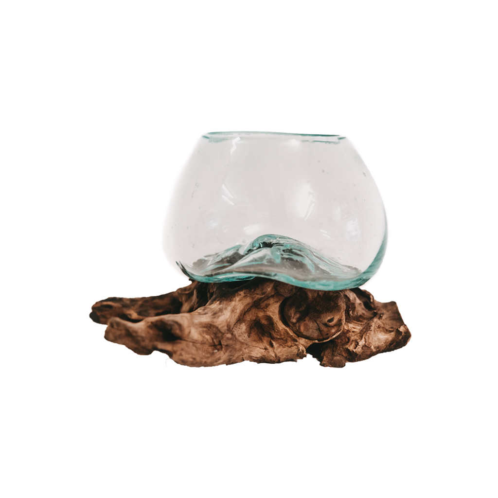 Teak root with glass vase super mini