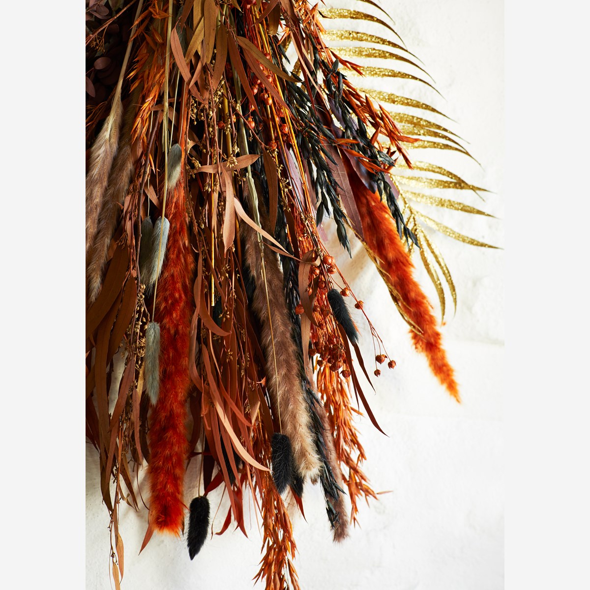 Dried black soft wheat